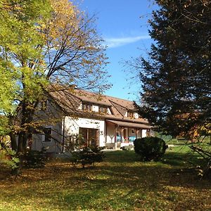 Mamut Villa Rozvadov Exterior photo