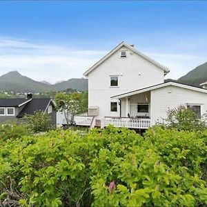Lovely 1 Bedroom Downstairs Condo With Free Parking Place Svolvær Exterior photo