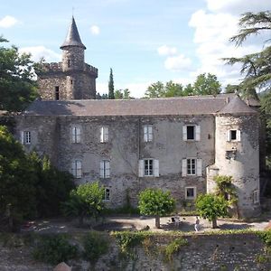 Le Chateau De Cambiaire Panzió Saint-Etienne-Vallee-Francaise Exterior photo