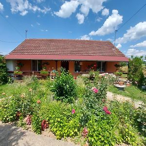 Casa De Vacanta In Tara Fagarasului Betlen Exterior photo