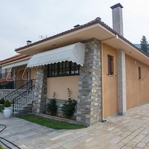 Βίλα Για Όλες Τις Εποχές Του Χρόνου Villa Kozáni Exterior photo