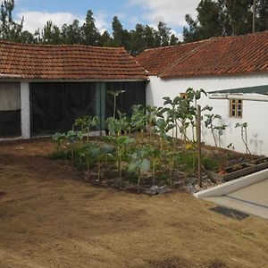 Casa Mourato Villa Alpedriz Exterior photo