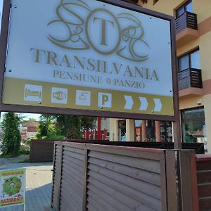 Pensiunea Transilvania Székelyudvarhely Exterior photo