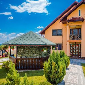 Pensiunea Adrian Hotel Novaci-Străini Exterior photo