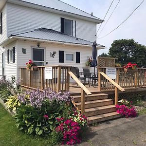 The Coastal Country House In New Brunswick Vendégház Cape Tormentine Exterior photo