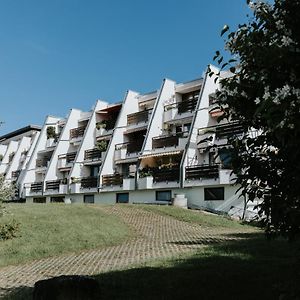 Rosenalm Scheidegg Apartman Exterior photo