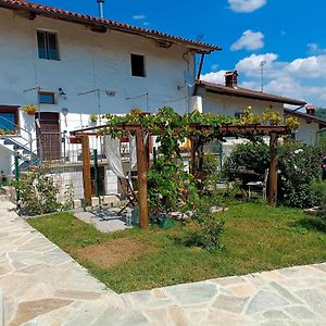 Casa Di Campagna Il Melo Tra Vigne E Noccioli. Villa Cigliè Exterior photo