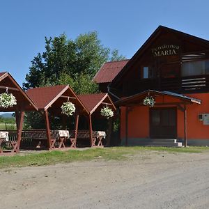 Pensiunea Maria Szováta Exterior photo