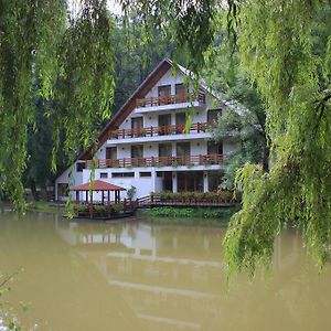 Guest House Lacul Linistit Menyháza Exterior photo