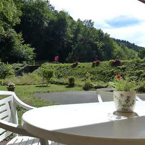 Appartement Entier Renove Dans Un Ecrin De Verdure Thann Exterior photo