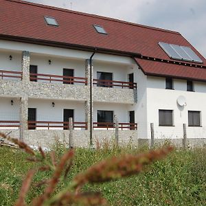 Pensiunea Bogdan Novaci-Străini Exterior photo