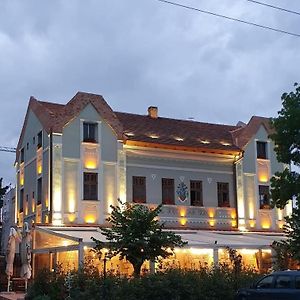 Conacul Sfantul Sava Brancovici Hotel Borosjenő Exterior photo