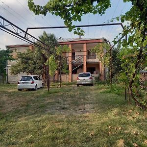 Family Hotel Leni Kvareli Exterior photo