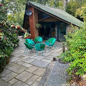 The Shed . A Cosy, Peaceful, 96% Recycled, Chalet. Apartman Swansea Exterior photo