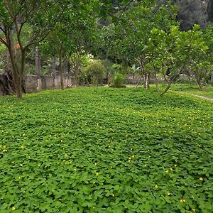 Yen Binh Homestay Ninh Bình Exterior photo