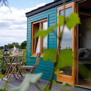 Tiny House In The Vineyard By Gramofon Wine Hotel Iordachianu Exterior photo