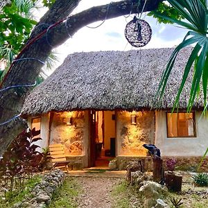 Encantadora Villa Maya Tradicional En Rancho Agroecologico Tzucaceb Exterior photo