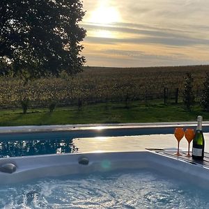 Best View, Pool And Spa On The Champagne Vineyard Saint-Thierry Exterior photo