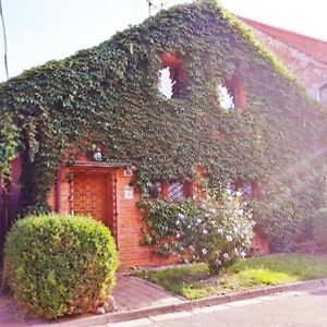 Penzion Vanda Velké Pavlovice Exterior photo