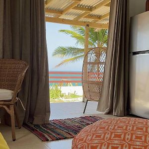 Casita Del Mar Oceanfront Romantic Retreat In Islote Apartman Arecibo Exterior photo