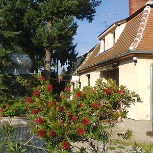 Alpesi Trimmel Vendégház Sopron Exterior photo