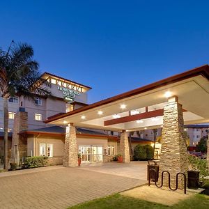 Homewood Suites By Hilton San Francisco Airport North California Brisbane Exterior photo