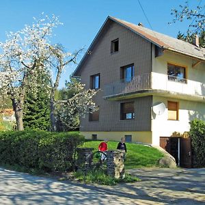 Haus Hollerbusch Apartman Neunburg vorm Wald Exterior photo