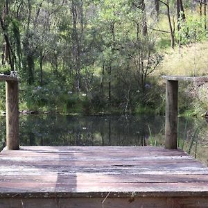 Hidden Gem, Megalong Valley, Blue Mountains Kanimbla Exterior photo