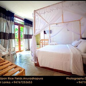 Heaven Upon Rice Fields Panzió Anuradhapura Exterior photo