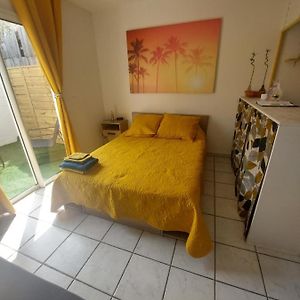 Le Ti'Margoze Superbe Studio Entierement Renove Apartman Saint-Pierre Exterior photo