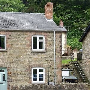 The Briars Villa Lydbrook Exterior photo