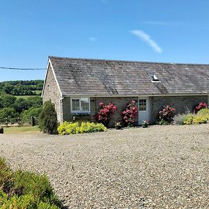 Cych Cottage Capel-Ifan Exterior photo