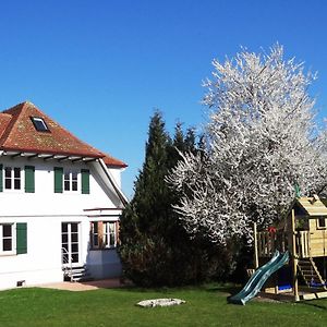 Schwarzwaldhaus24 - Ferienhaus Mit Sauna, Whirlpool Und Kamin Gemeinde Gemeinde Aichhalden Exterior photo