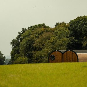 Hollins Farm - Dog Friendly, Self Catering Holiday Lodges Knaresborough Exterior photo