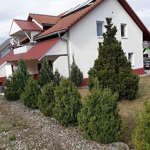 Ferienwohnung Lottstetten Exterior photo