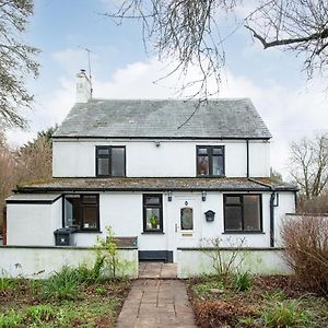 Weycroft Cottage Axminster Exterior photo