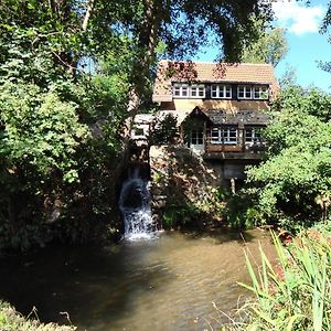 Gites Du Domaine Du Petit Moulin, A 15 Min De La Mer, D-Day, Nature Et Calme, Ideal Famille Courcy  Exterior photo