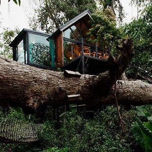 Wilderness Treehouse Villa Dojszaket Exterior photo