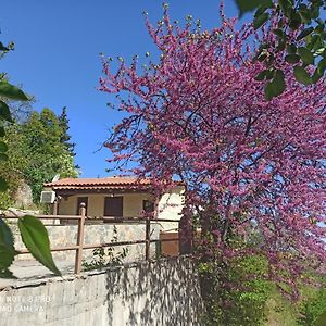 Forestrock Studio For Sale Too Villa Szpárti Exterior photo