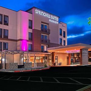 Springhill Suites By Marriott Albuquerque North/Journal Center Alameda Exterior photo