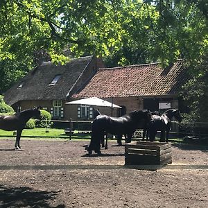 De Swaenhoeve Zoersel Exterior photo