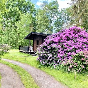 Holiday Home On A Riding Stable Eschede Exterior photo