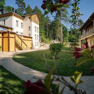 Waldidylle Gohrisch, Pension Und Ferienwohnungen Exterior photo