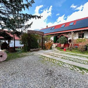 Alma Hof Vendégház Apartman Boldogasszonyfa Exterior photo