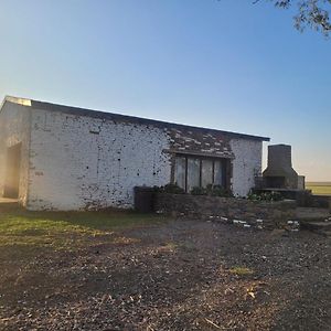 Perdestal Vendégház Oranjeville Exterior photo
