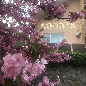Adonis Hotel Ungvár Exterior photo