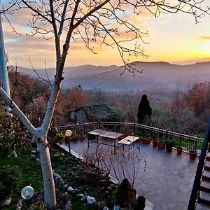 Appartementi Nella Foresta Dei Simbruini Cervara di Roma Exterior photo