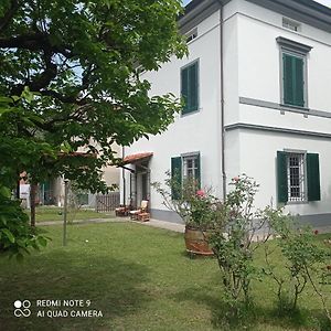 Villa Dello Scrittore Lucca Exterior photo