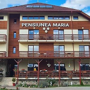 Pensiunea Maria Hotel Gyalu Exterior photo