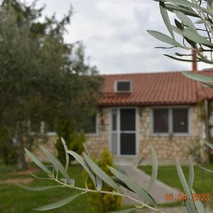 Πετρινη Κατοικια Στην Φυση Villa Tagarádesz Exterior photo